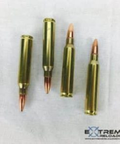 Extreme Reloading 223 55gr FMJ