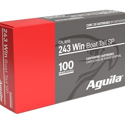 AGUILA 243WIN 100GR SP 20/200