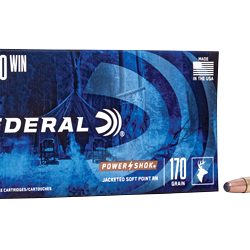 Federal .30-30 Win 170gr - 20 Rounds-$12 Shipping