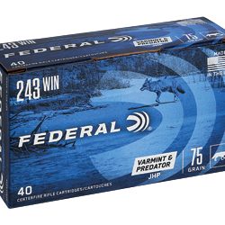 FED AM EAGLE V&P 243WIN 75GR 40/200