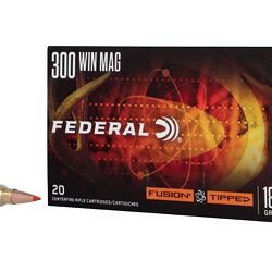 FUSION TIPPED 300WIN 180GR 20/200