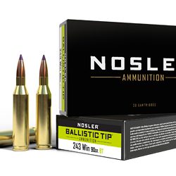 NOSLER 243WIN 90GR BT 20/200