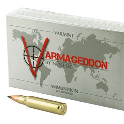 NOSLER VG 308WIN 110GR FB TIP 20/200