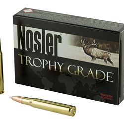 NOSLER 30-06 165GR AB 20/200