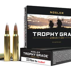 NOSLER TG 223REM 70GR AB 20/200
