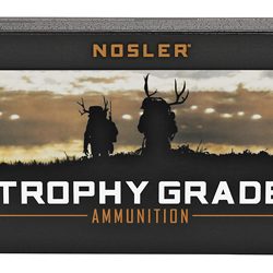 NOSLER TG 243WIN 100GR PT 20/200