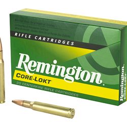 REM 30-06 165GR PSP CL 20/200