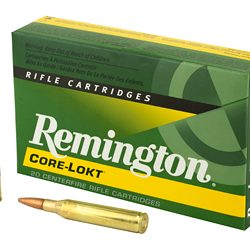 REM 25-06REM 120GR PSP CL 20/200-$12 Shipping