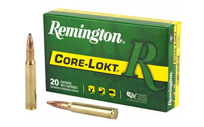 Remington .30-06 150gr - 20 Rounds-$12 Shipping