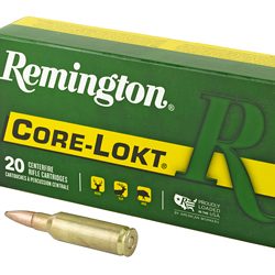 REM 300RSAUM 165GR PSP CL 20/200