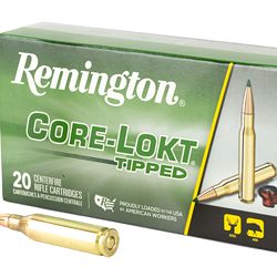REM 243WIN 95GR CLOK TIPPED 20/200