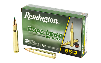 Remington .30-06 180gr - 20 Rounds-$12 Shipping