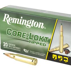 REM 308 WIN 180GR CLOK TIPPED 20/200