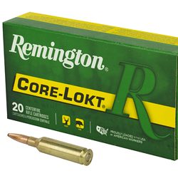 REM 6MM 100GR CM CL 20/200