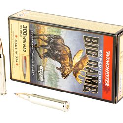 WIN EXPD BIG GM 300WIN 190GR 20/200