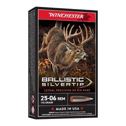 WIN BLSTC TIP 2506RM 115GR 20/200
