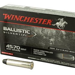 WIN BLSTC TIP 45/70GVT 300GR 20/200