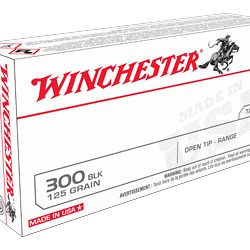 WIN USA 300BLK 125GR OT 20/200