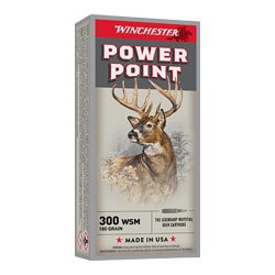 WIN SPRX PWR PNT 300WSM 180GR 20/200