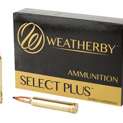 WBY AMMO 300WBY 180GR TTSX 20/200