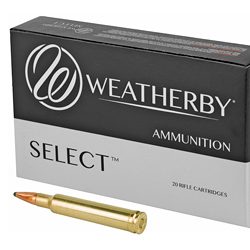 WBY AMMO 300WBY 165GR HRNDY INTER