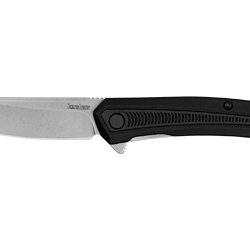 Kershaw Raygun, Folding Knife, Assisted Opening, 2.8" Reverse Tanto Blad...