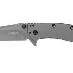 Kershaw Cryo, Assisted Folding Knife, 2.75" Clip Point Blade, Plain Edge...