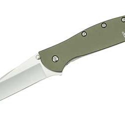 Kershaw Leek, 3", Assisted Folding Knife, Clip Point Thumb, Plain Edge, ...