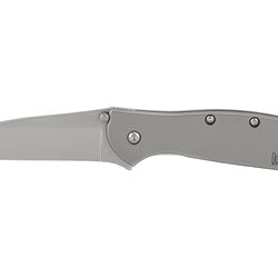 Kershaw Leek, 3" Assisted Folding Knife, Clip Point, Plain Edge, 14C28N/...