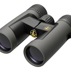Leupold BX-2, Alpine HD, Binocular, 10X42, Shadow Gray