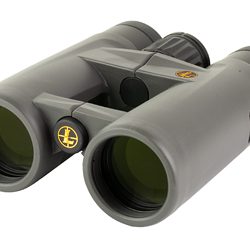 Leupold BX-4 Pro Guide HD Gen 2, Binocular, 10X42mm, Shadow Gray