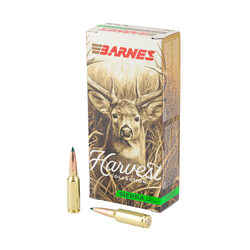 Barnes 6mm ARC 100gr - 20 Rounds